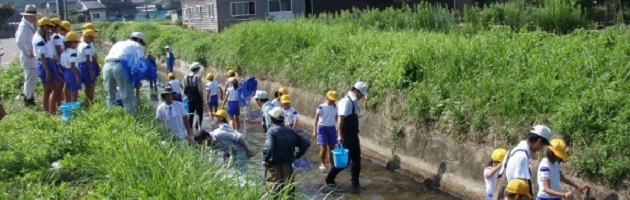 用水路の生き物調査（邑知小学校）